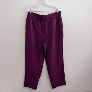 Ann Taylor Factory Purple Plum Pull On High Rise Pants NWT